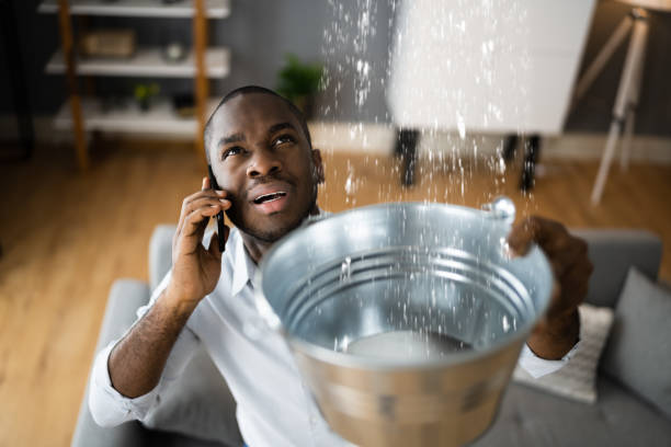 Best Flood restoration services  in Shingletown, CA