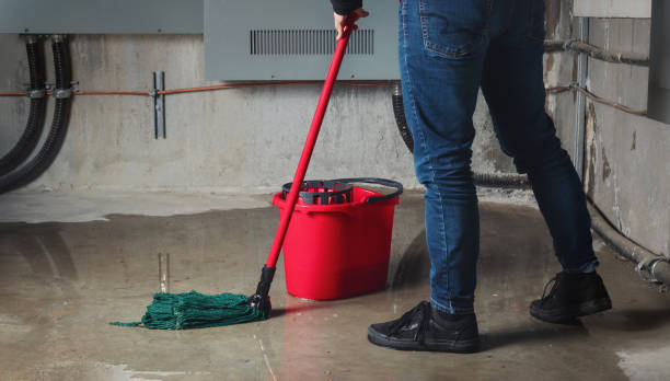 Best Mold removal after water damage  in Shingletown, CA