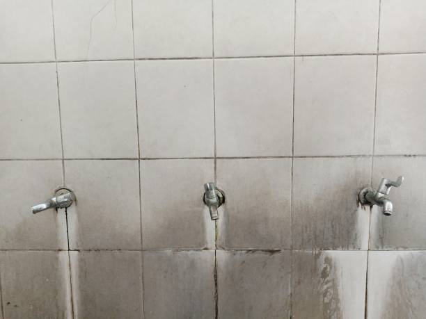 Best Fire Damage Restoration  in Shingletown, CA
