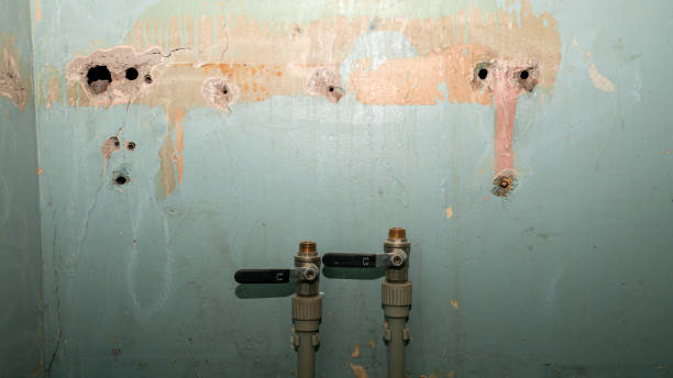  Shingletown, CA Water damage restoration Pros