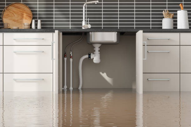 Best Flood damage cleanup  in Shingletown, CA