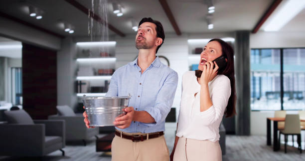 Best Emergency water damage restoration  in Shingletown, CA